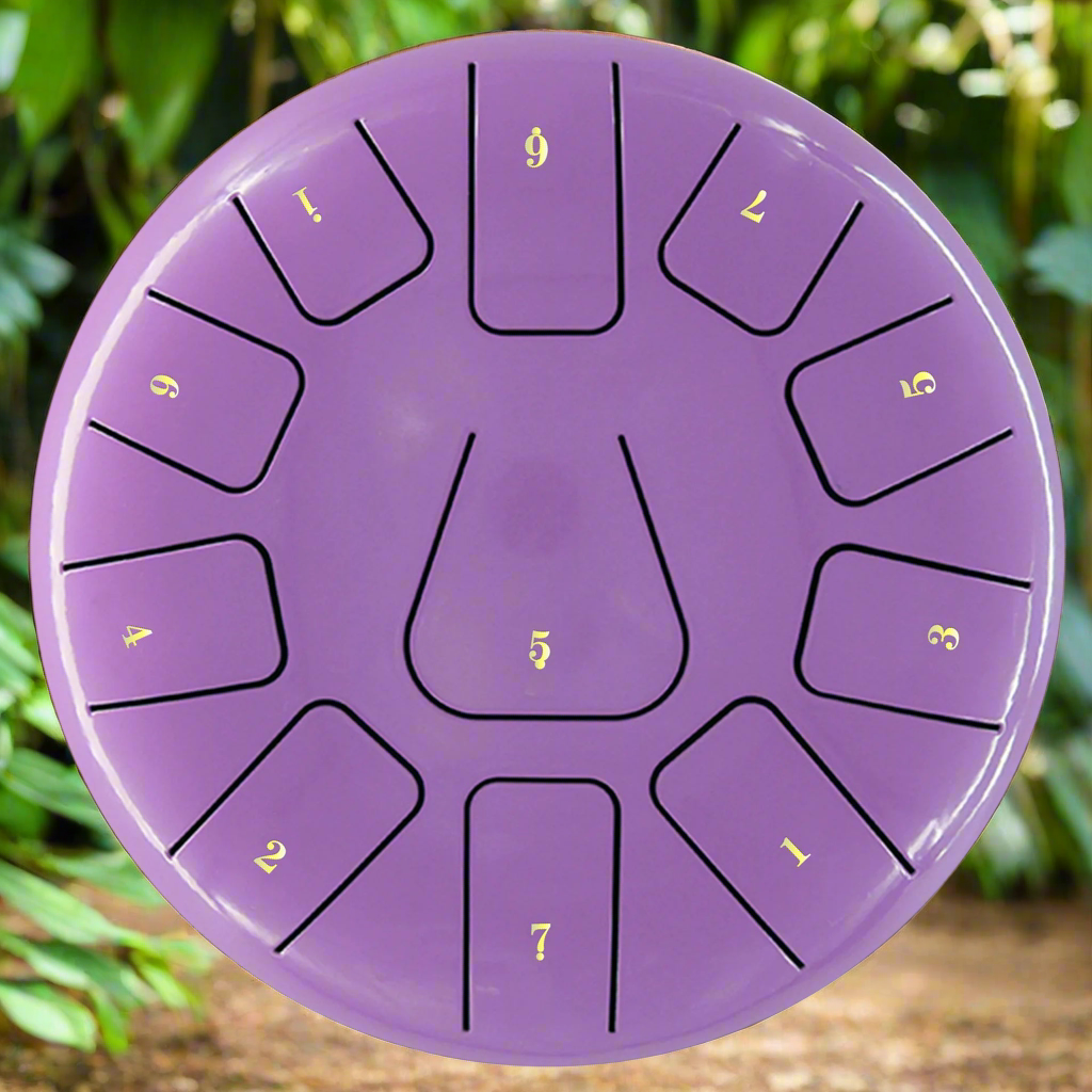 Chakra Drum 8 Inch 11 Tone