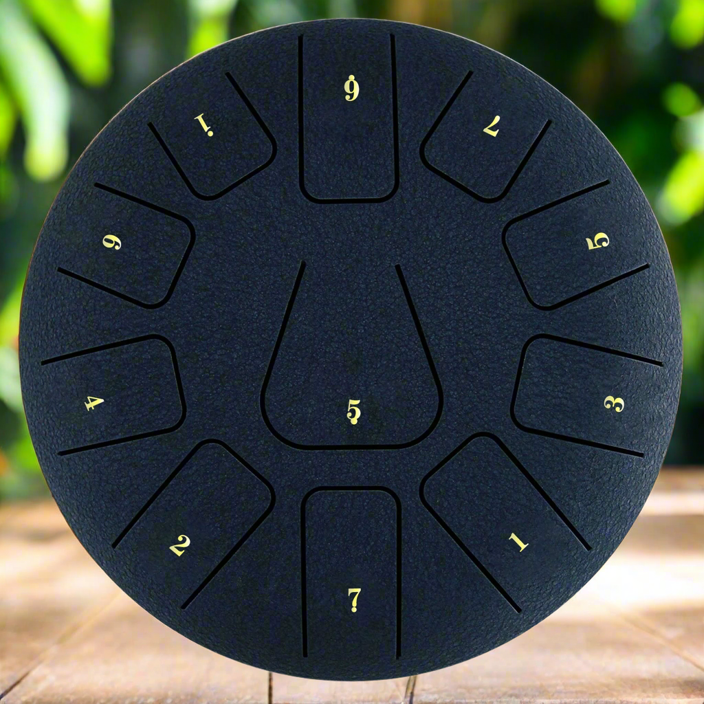 Chakra Drum 8 Inch 11 Tone