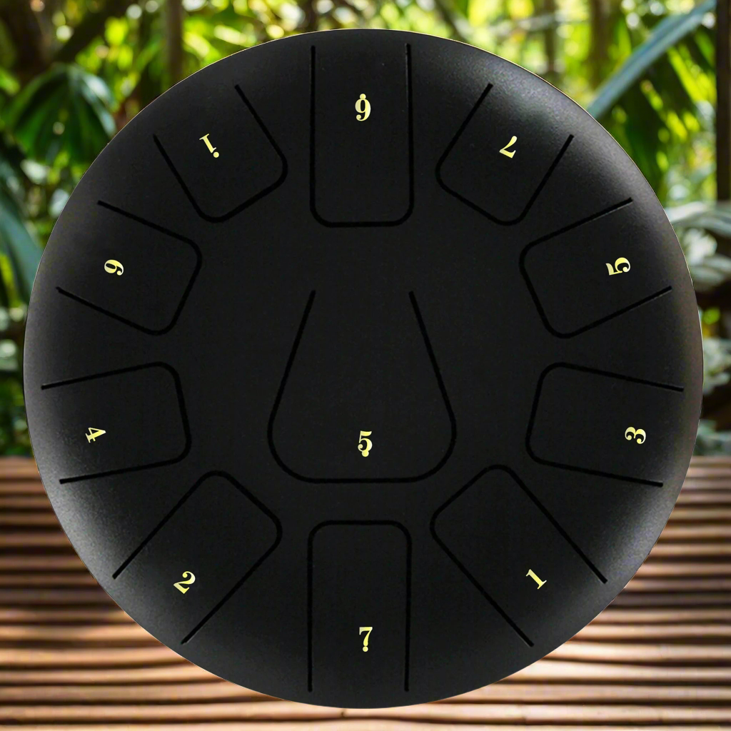 Chakra Drum 8 Inch 11 Tone